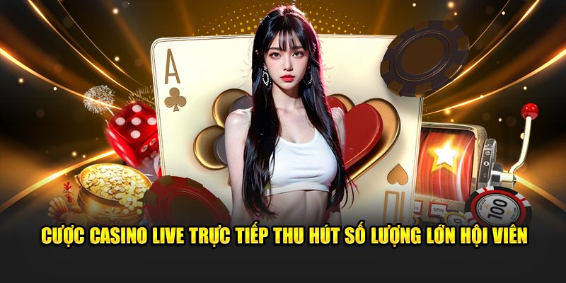 Cược casino live trực tiếp thu hút số lượng lớn hội viên